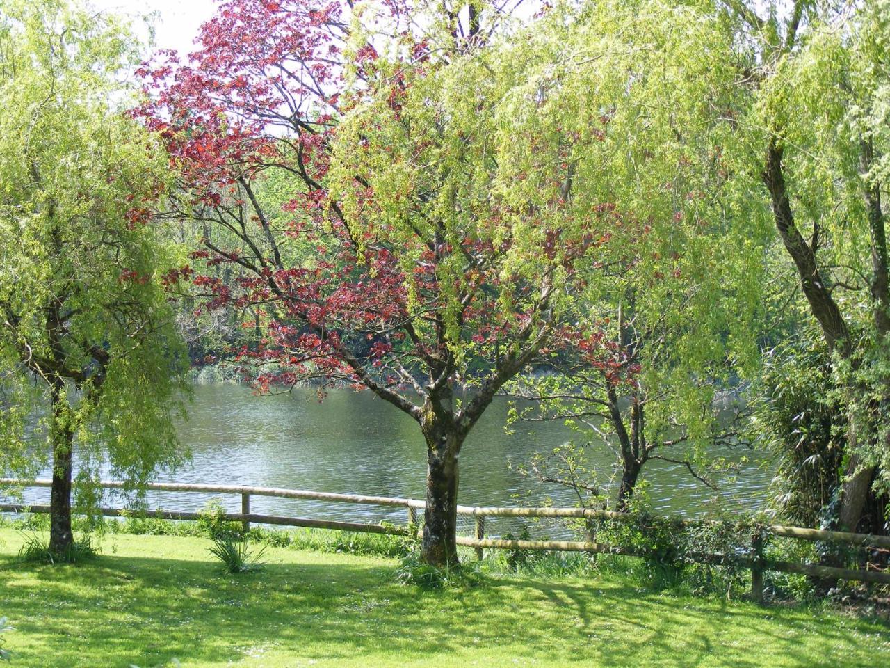 Innishannon House Hotel 외부 사진